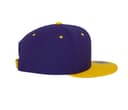 FLEXFIT Casquette snapback bicolore PURPLE / GOLD