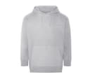 ECOLOGIE Sweat capuche en coton et polyester recyclés HEATHER GREY