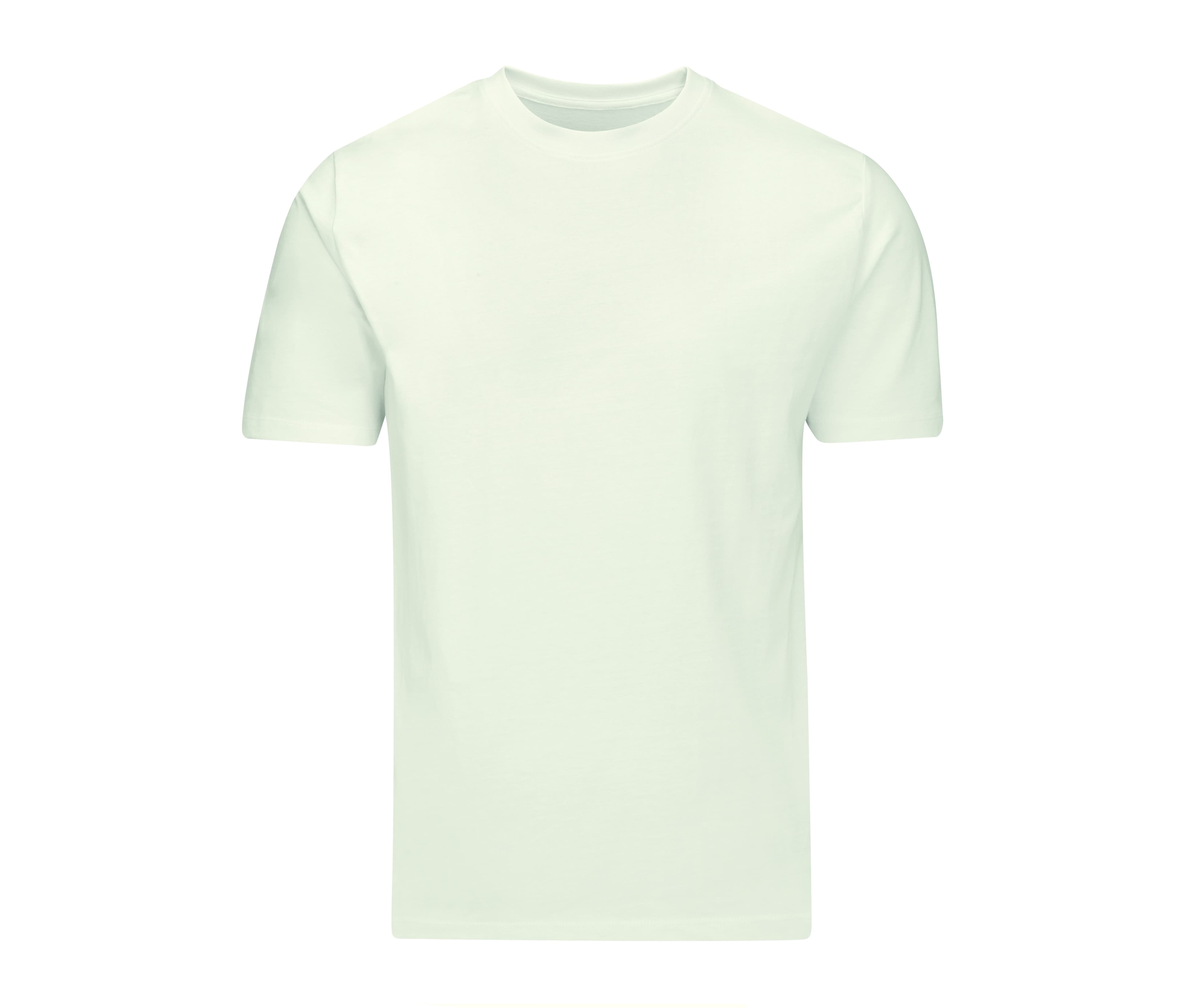 Tee-shirt homme en coton organique NATURAL