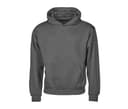 TEE JAYS Sweat à capuche urbain ample POWDER GREY