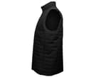 PEN DUICK Bodywarmer matelassée BLACK